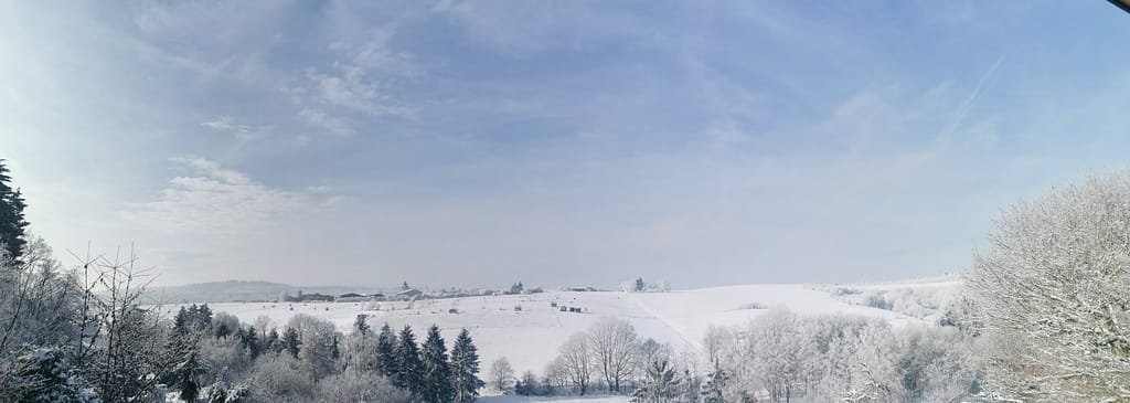 Schneelandschaft mit Bäumen, Gebäuden und Weiden
