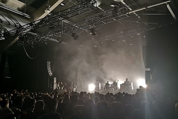 stage schlachthof