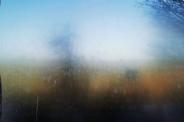 Ausblick @CabinInTheWoods durch die beschlagene Scheibe des Wohnküchenfensters