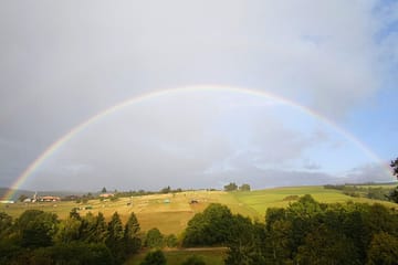Regenbogen in geschlossenem Halbkreis auf einem Hügel, Büsche, Bäume und einen Pferdehof überspannend.