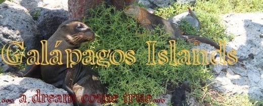 galapagos_blog